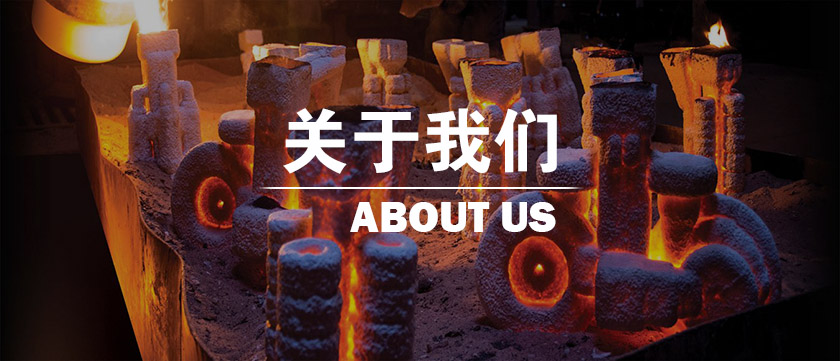 1617350697986215.jpg ABOUT US CN.jpg